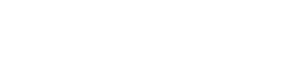 LARP Car Rental